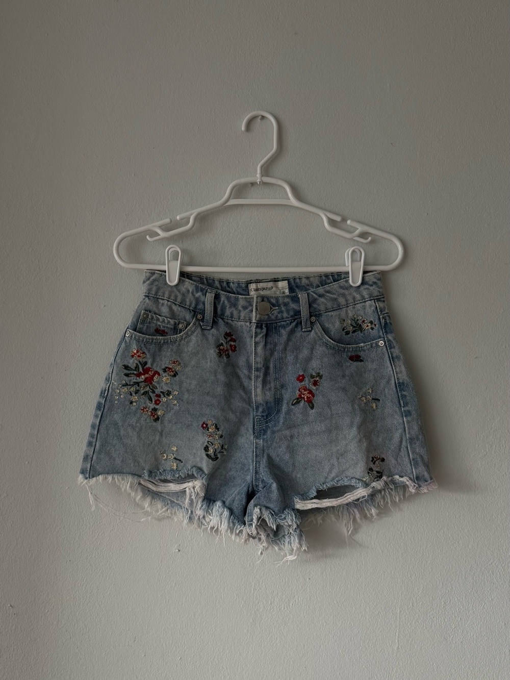 Embroidered Light Blue Denim Shorts